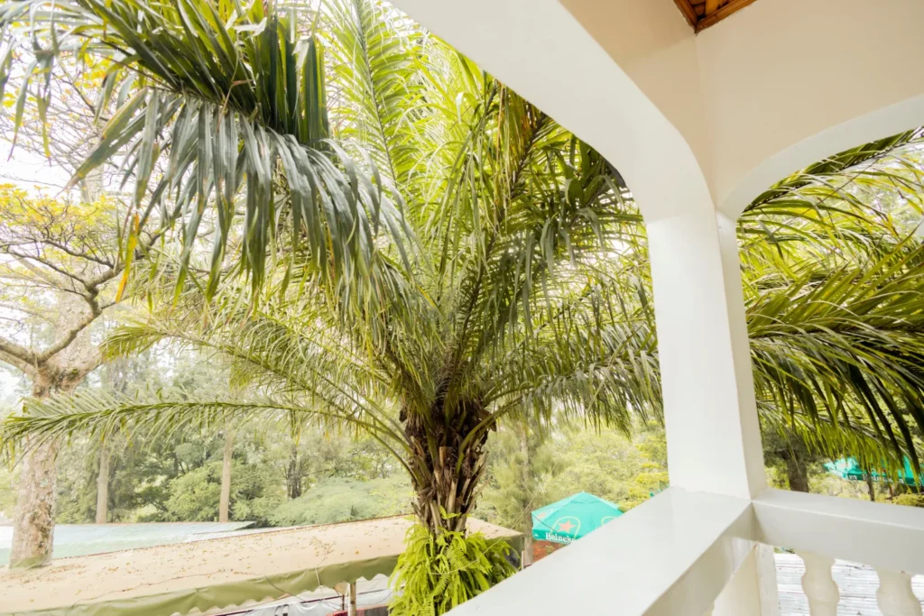 Room 1 at Nature Kigali