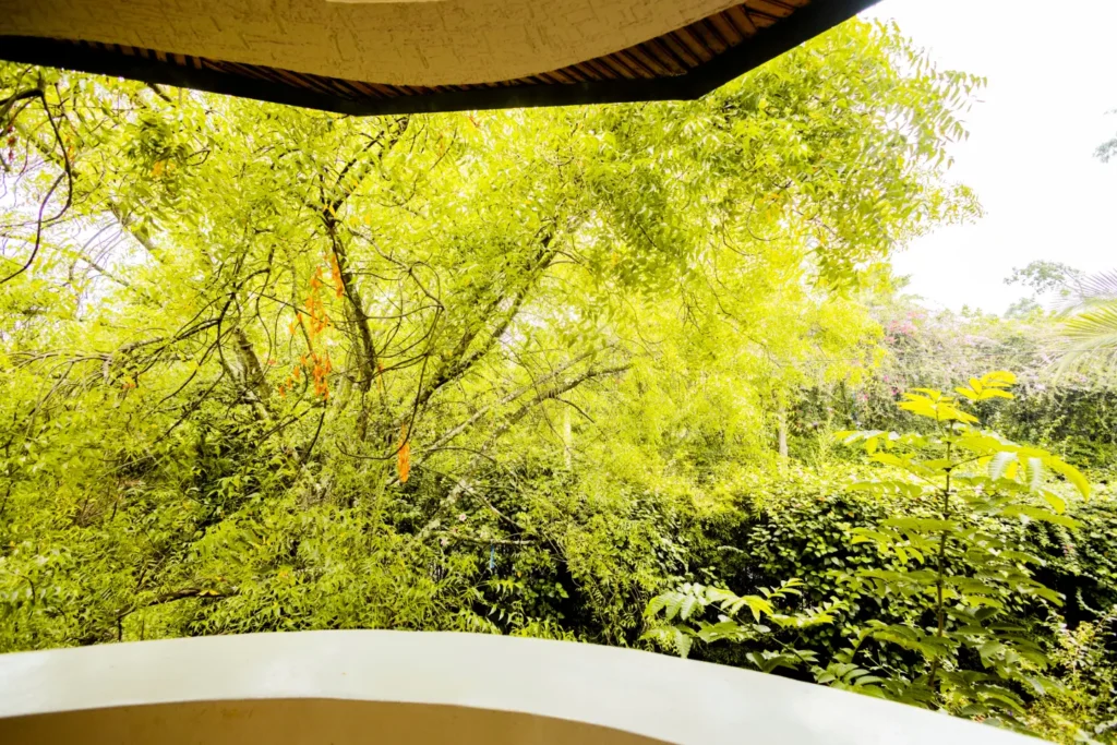Room 2 at Nature Kigali